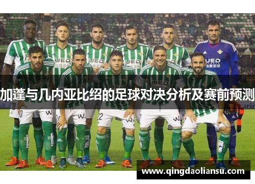加蓬与几内亚比绍的足球对决分析及赛前预测